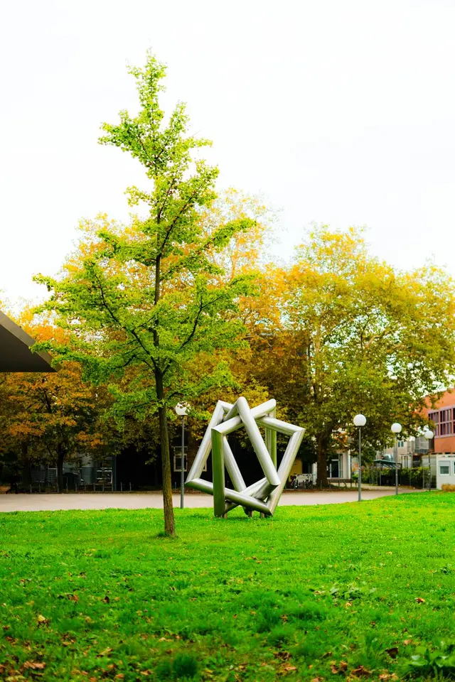 Vista de programa federal, Alemania