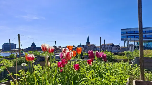 Vista de Europa / UE / Schengen, Dinamarca