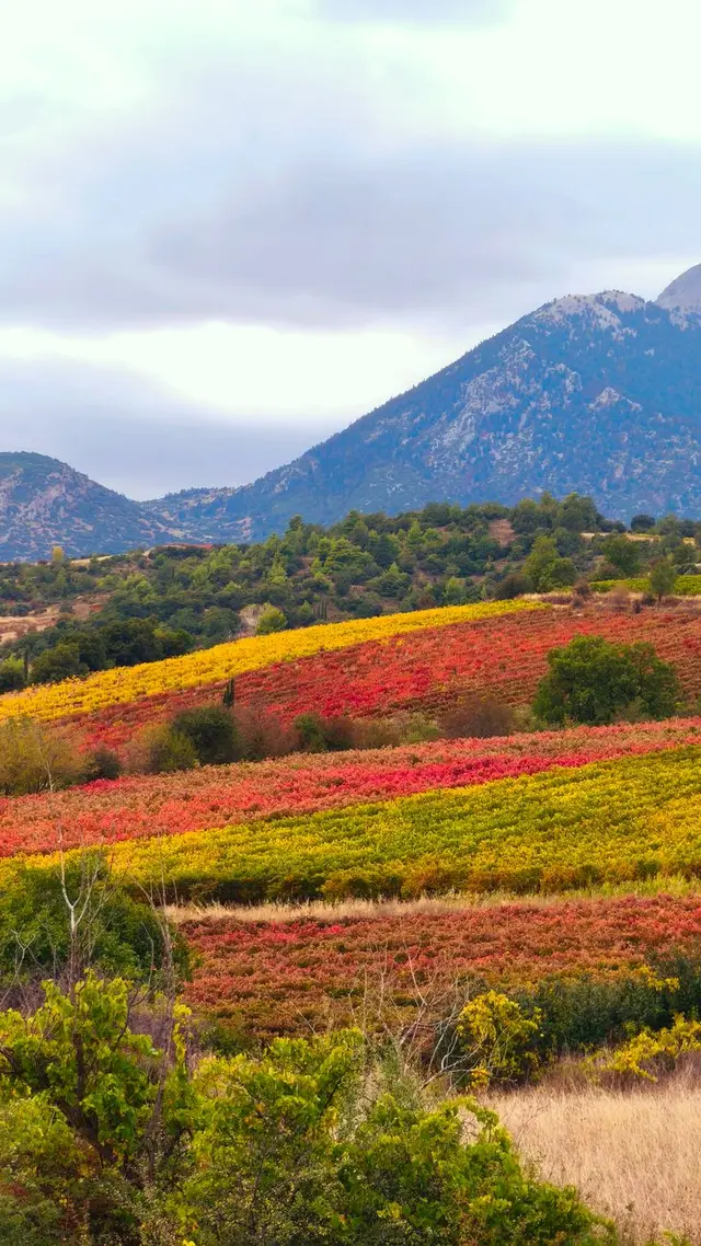 Vista de comunas rurales sin comercio de proximidad, Francia