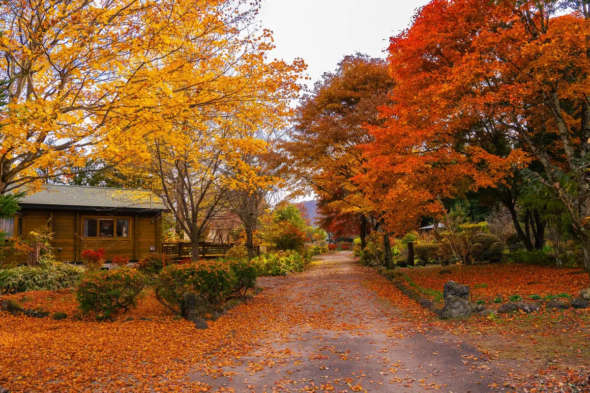 Vista de más de 1.000 municipios con banco de casas vacías, Japón