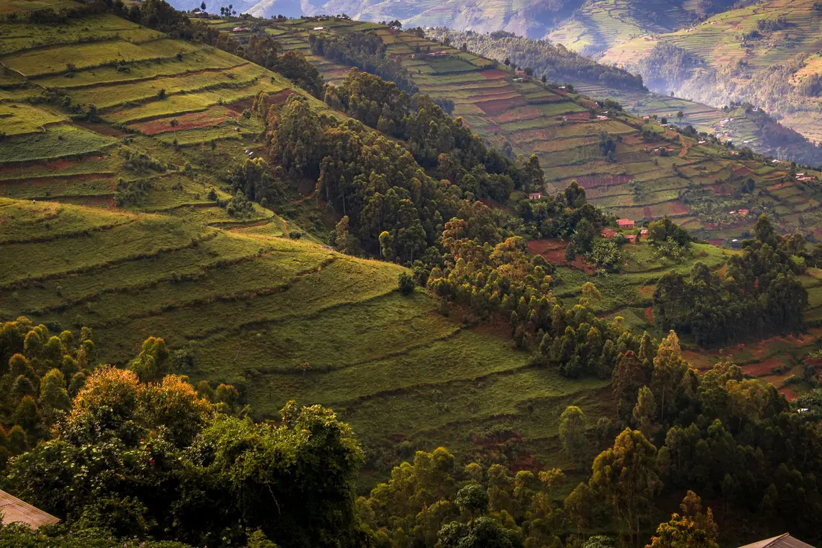 Ruanda tiene un permiso de dos años para vivir de un ingreso de afuera, por unos 110 dólares