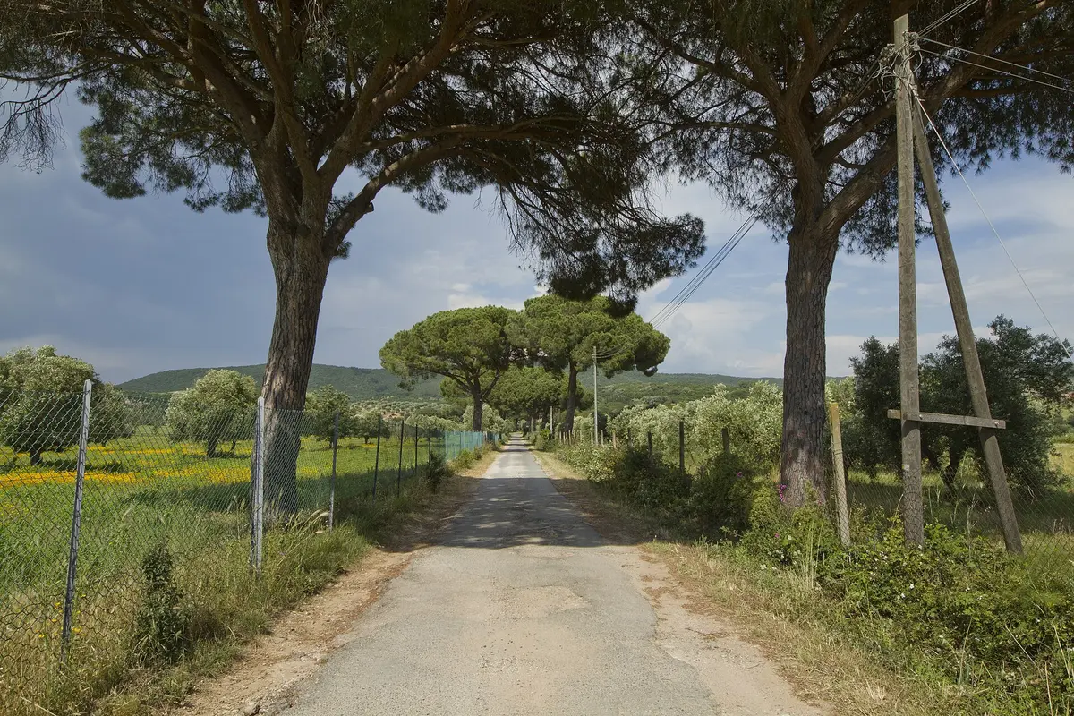 Un borgo de la Toscana paga hasta 7.000€ por tu primera casa — bando abierto hasta septiembre 2026
