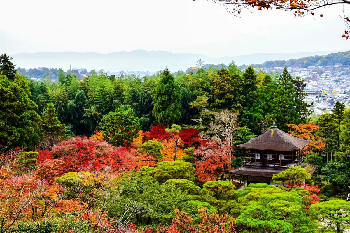 Un pueblo de montaña en Japón te regala la casa si la alquilás 20 años