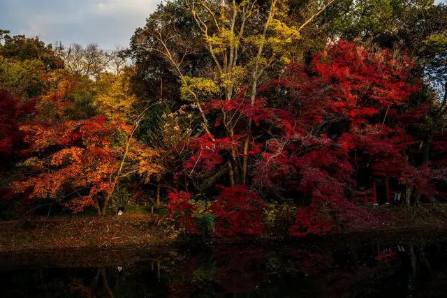 Vista de Shichikashuku, Japón