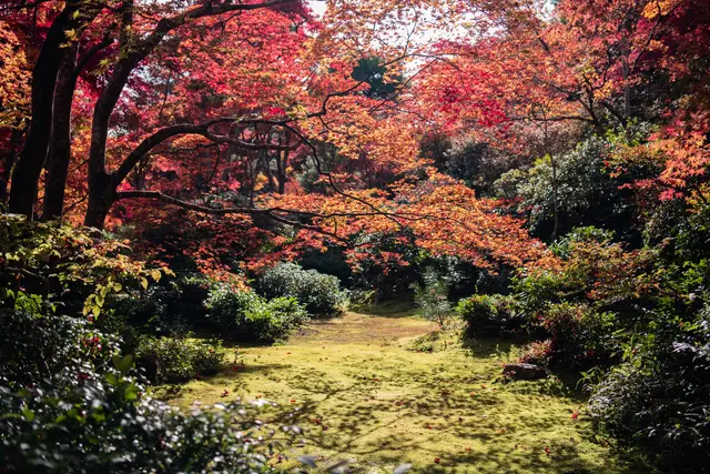 Vista de Shichikashuku, Japón
