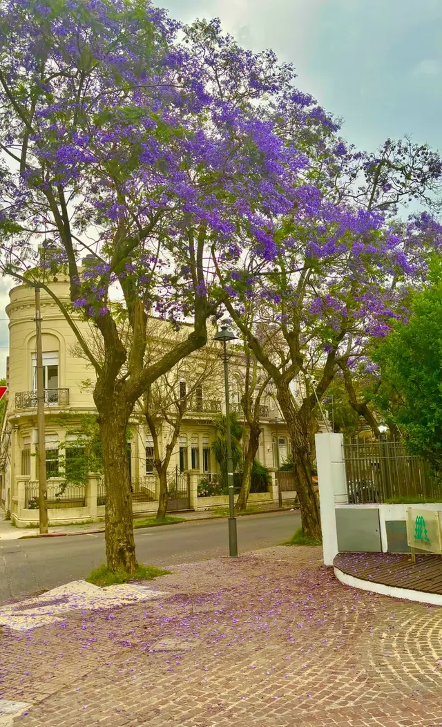 Vista de todo el país, Uruguay